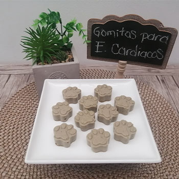 Muestras de Pastelería inclusiva, perros y gatos enfermos
