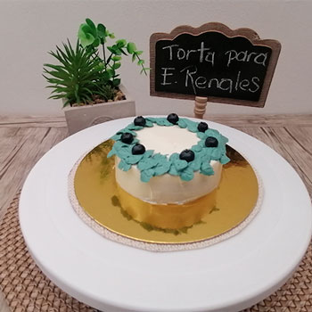 Muestras de Pastelería inclusiva, perros y gatos enfermos