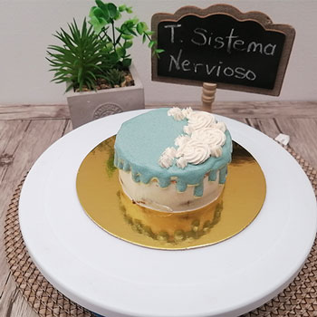 Muestras de Pastelería inclusiva, perros y gatos enfermos