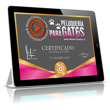 Certificado como profesional en Peluquería para gatos avalado por Fabio Gomez Sepulveda