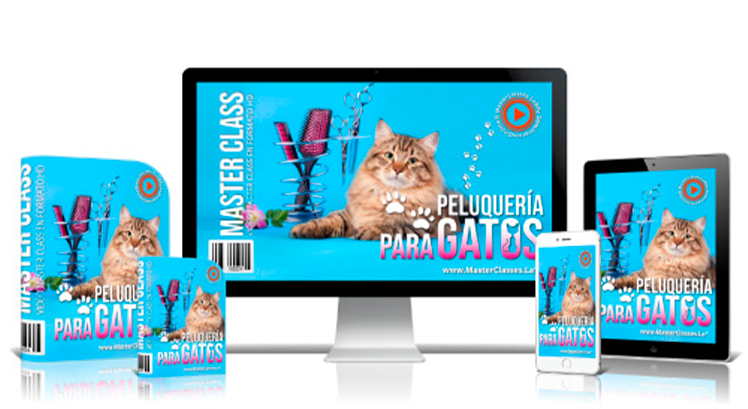 Peluquería para gatos de Fabio Gomez Sepulveda