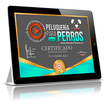 Certificado como profesional en Peluquería para Perros avalado por Fabio Gomez Sepulveda