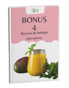 Deliciosas, refrescantes y nutricionalmente saludables adaptadas para perros y gatos.