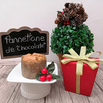 Muestras de Petlicias Navideñas
