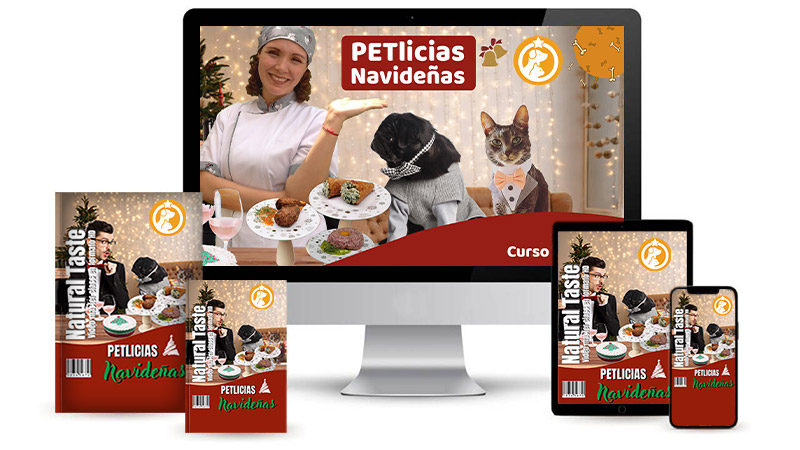 Petlicias Navideñas de Diana Fonseca