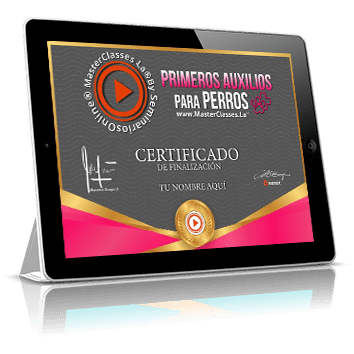Certificado como profesional en Primeros Auxilios para Perros avalado por Laura Viviana Castro Sabogal