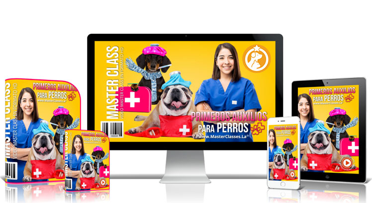 Primeros Auxilios para Perros de Laura Viviana Castro Sabogal