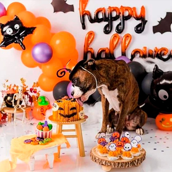 Muestras de Reposteria de Halloween