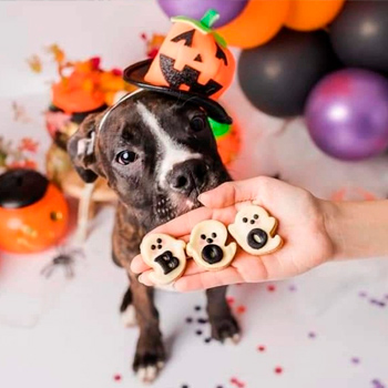 Muestras de Reposteria de Halloween