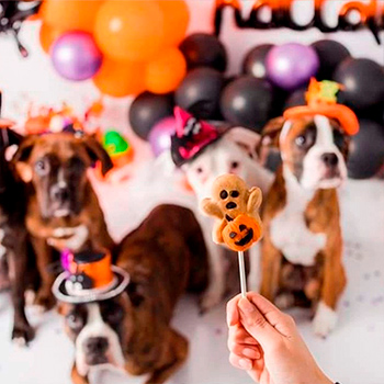 Muestras de Reposteria de Halloween