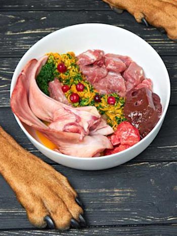 Muestras de Sabor primitivo, alimentación super premium para perros y gatos