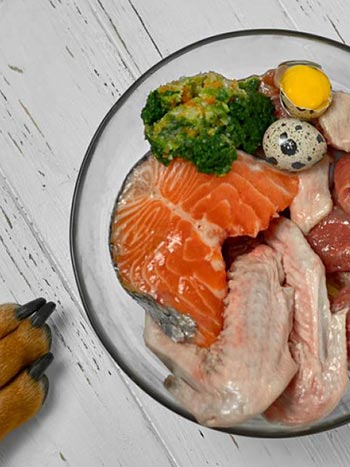 Muestras de Sabor primitivo, alimentación super premium para perros y gatos