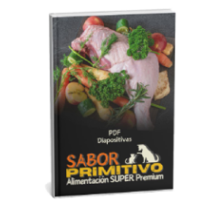 TranscripciÃ³n de la parte teÃ³rica en PDF.