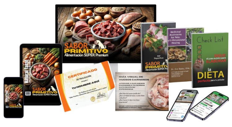 Sabor primitivo, alimentación super premium para perros y gatos de Diana Fonseca