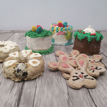 Muestras de Taller Pascua para 4patas