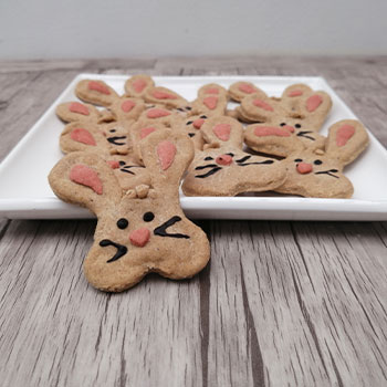 Muestras de Taller Pascua para 4patas