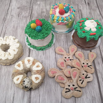 Muestras de Taller Pascua para 4patas