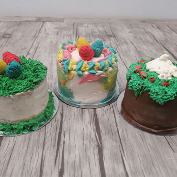 Muestras de Taller Pascua para 4patas
