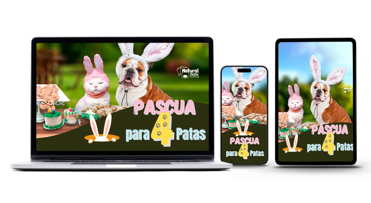 Taller Pascua para 4patas de Diana Fonseca