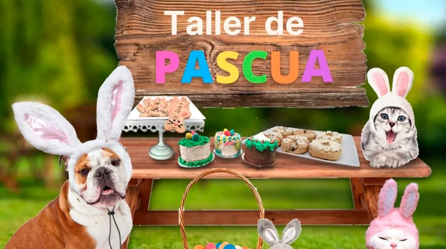 Taller Pascua para 4patas