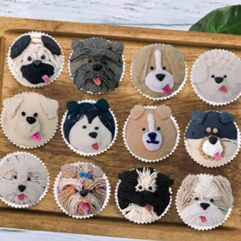 Muestras de Técnicas de decoración Pastelería canina y felina