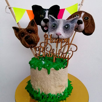 Muestras de Técnicas de decoración Pastelería canina y felina