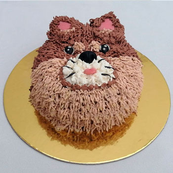 Muestras de Técnicas de decoración Pastelería canina y felina