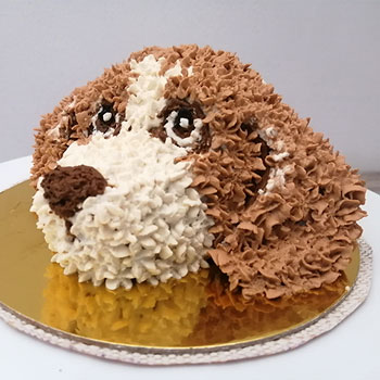 Muestras de Técnicas de decoración Pastelería canina y felina