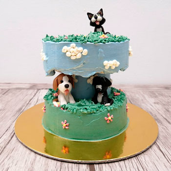 Muestras de Técnicas de decoración Pastelería canina y felina