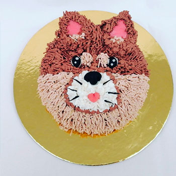 Muestras de Técnicas de decoración Pastelería canina y felina
