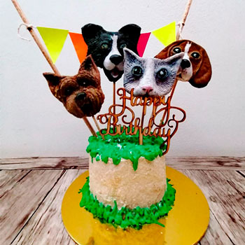 Muestras de Técnicas de decoración Pastelería canina y felina