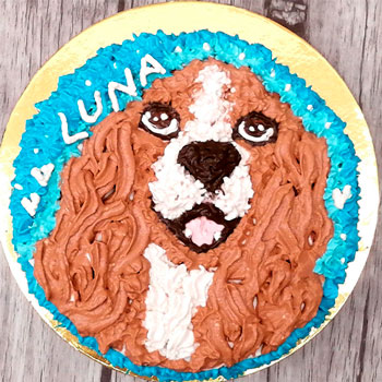 Muestras de Técnicas de decoración Pastelería canina y felina