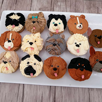 Muestras de Técnicas de decoración Pastelería canina y felina