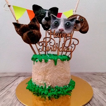 Muestras de Técnicas de decoración Pastelería canina y felina