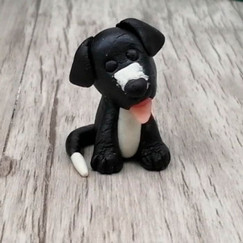 Muestras de Técnicas de decoración Pastelería canina y felina
