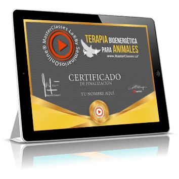 Certificado como profesional en Terapia Bioenergética para Animales avalado por Jorge Silva