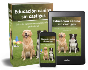 Curso de Adiestramiento canino sin castigos para mejorar la convivencia y el vínculo con tu perro.