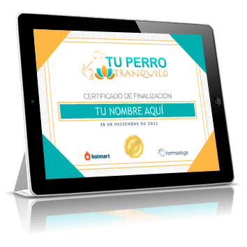 Certificado como profesional en Tu perro tranquilo avalado por Alberto de la Torre