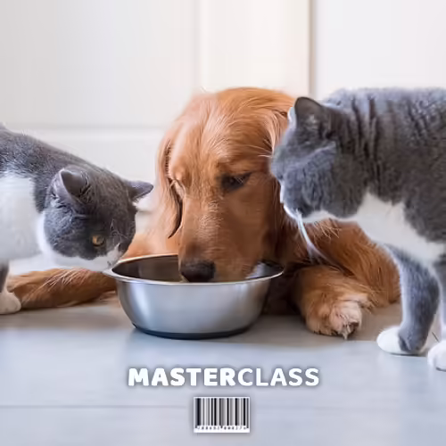 MEGA PACK +450 Recetas Saludables Para Perros y Gatos